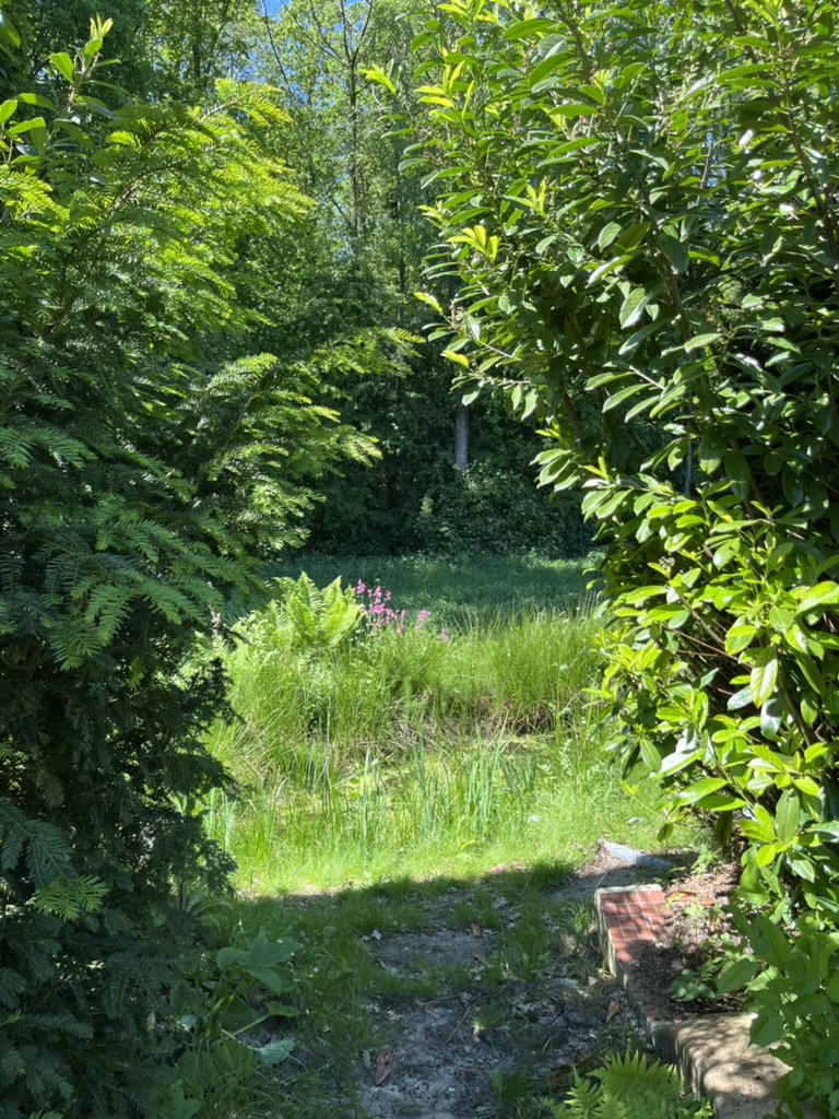 Tuin