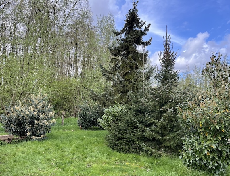Tuin