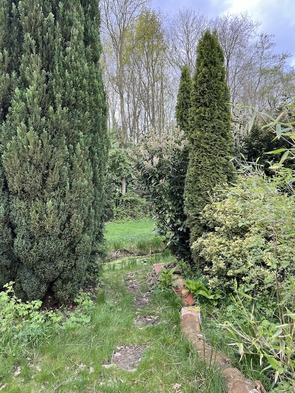 Tuin